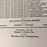 Vintage Nancy Drew & Bobbsey Twins Book Lot: Collectible Children's Mystery Stories