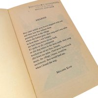 Vintage 1979 Amazons! Anthology: Feminist Sci-Fi, Heroic Fantasy