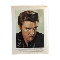 1982 Elvis Biography: "The Boy Who Dared to Rock" by Paul Lichter
