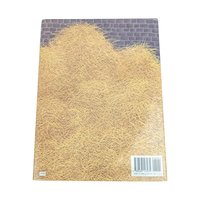 Rumpelstiltskin's Daughter Book: 1997 Diane Stanley Hardcover, Fairytale Illustration