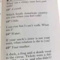 Vintage 1954 Riddle Book: Illustrated by Henry R. Martin