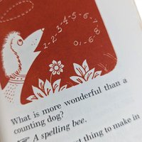 Vintage 1954 Riddle Book: Illustrated by Henry R. Martin