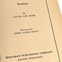 Vintage Nancy Drew & Bobbsey Twins Book Lot: Collectible Children's Mystery Stories