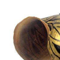 Vintage Hand Painted Seashells: Southeast Asian Style, Black and Gold Decor Pair