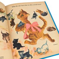 Vintage 1960 My First Book of Riddles: Illustrated Children's Book