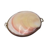 Vintage Clamshell Trinket Box: Natural Seashell Jewelry Holder