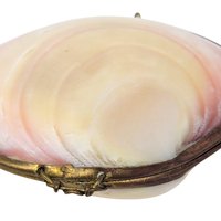Vintage Clamshell Trinket Box: Natural Seashell Jewelry Holder
