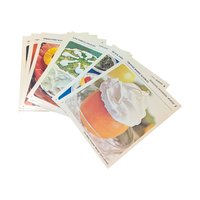 Vintage 1970 Betty Crocker Recipe Library: Green Plastic Box with Card Set