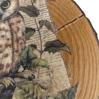 Vintage Handmade Nature Wood Slice Coasters, Set of 6