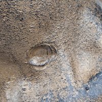 Vintage Cast Iron Rearing Horse Statue