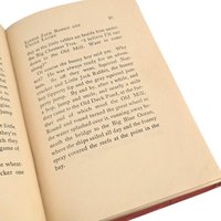 1926 Little Jack Rabbit and Uncle Lucky, David Cory