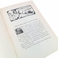 1910 The Biography of a Boy Hardcover, Josephine Daskam Bacon