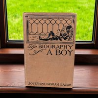 1910 The Biography of a Boy Hardcover, Josephine Daskam Bacon