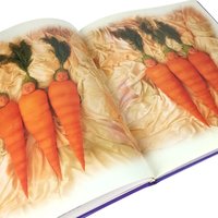 Anne Geddes Hardcover Photography Book Collection