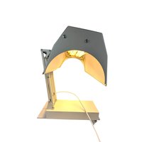 Northern Light Technologies Sadelite Desk Lamp