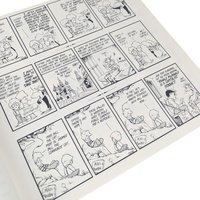 1987 Billy and the Boingers Bootleg, A Bloom County Book