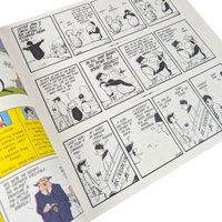 1987 Billy and the Boingers Bootleg, A Bloom County Book