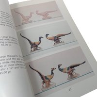 1999 Collector's Guide to Royal Copley Books 1 & 2