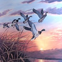 Signed Rhynard Klingbeil 'Mallards at Sunset' Print