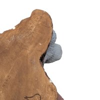 1979 Holland Mold Hand Painted Rabbit Tree Stump Dish