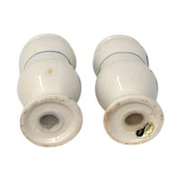 Watkins Blue Onion Salt Pepper Set