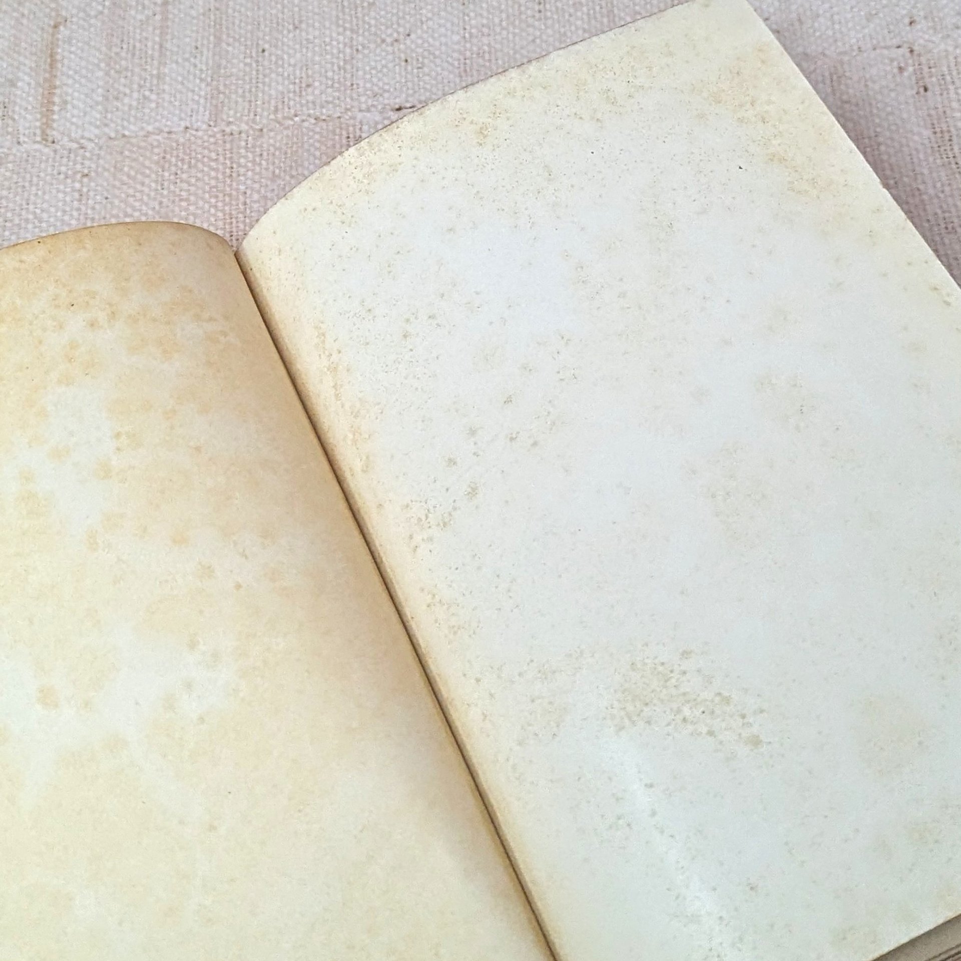 1909 Young Folks Treasury Book