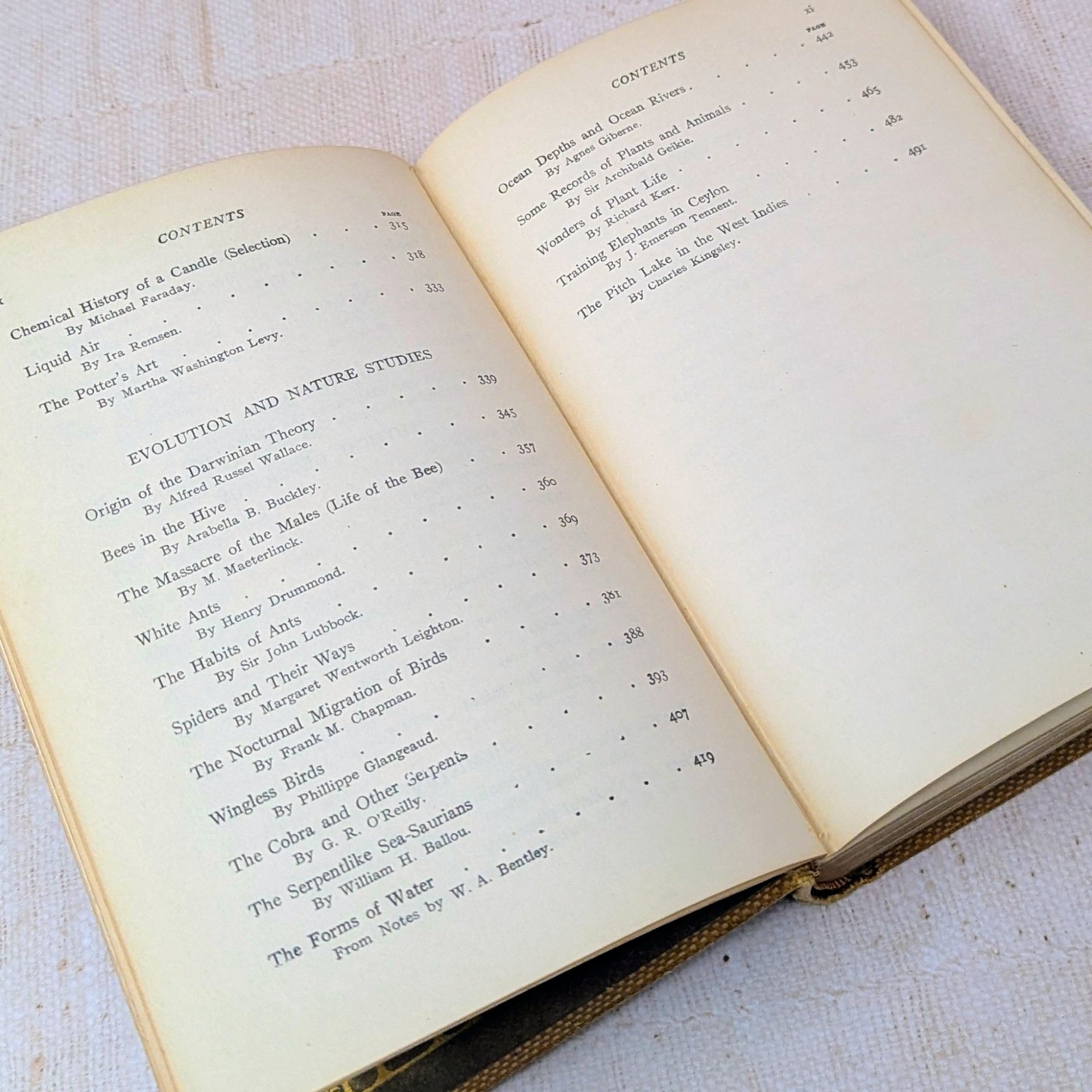 1909 Young Folks Treasury Book