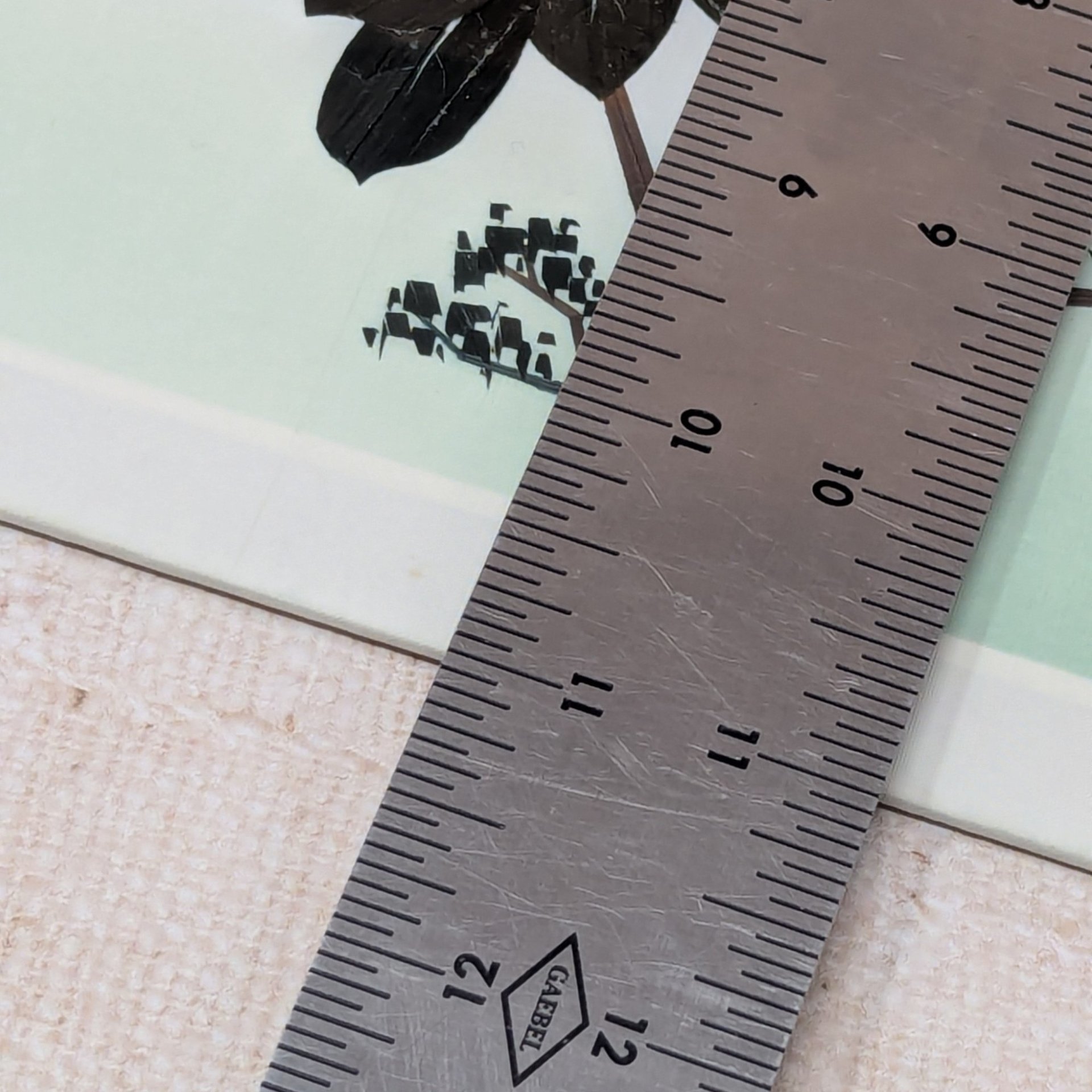 1970s Bamboo Shaving Art – Vintage Tropical Bird & Botanical Redy to Frame