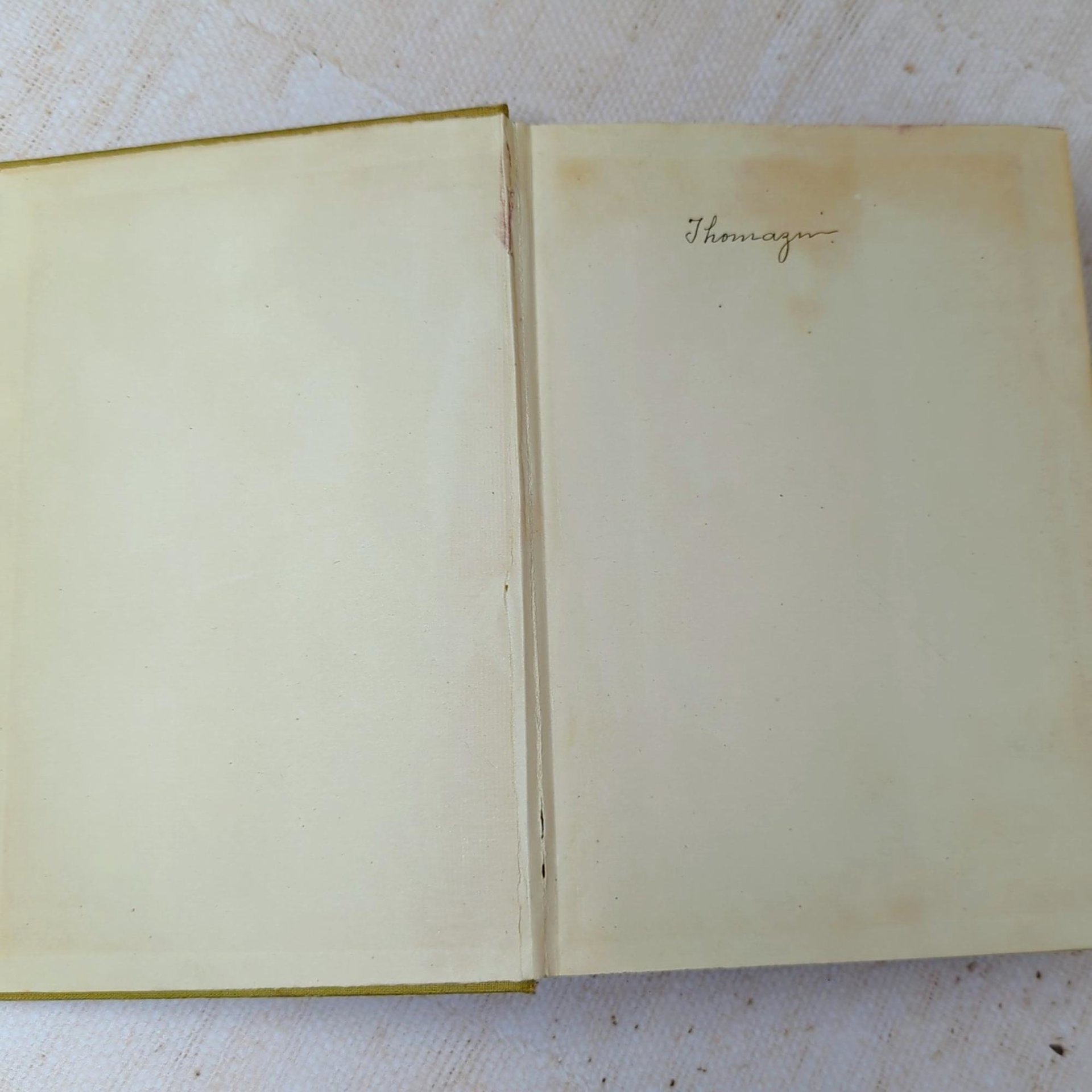 1910 Madame X – 1910s Edwardian Illustrated Volume