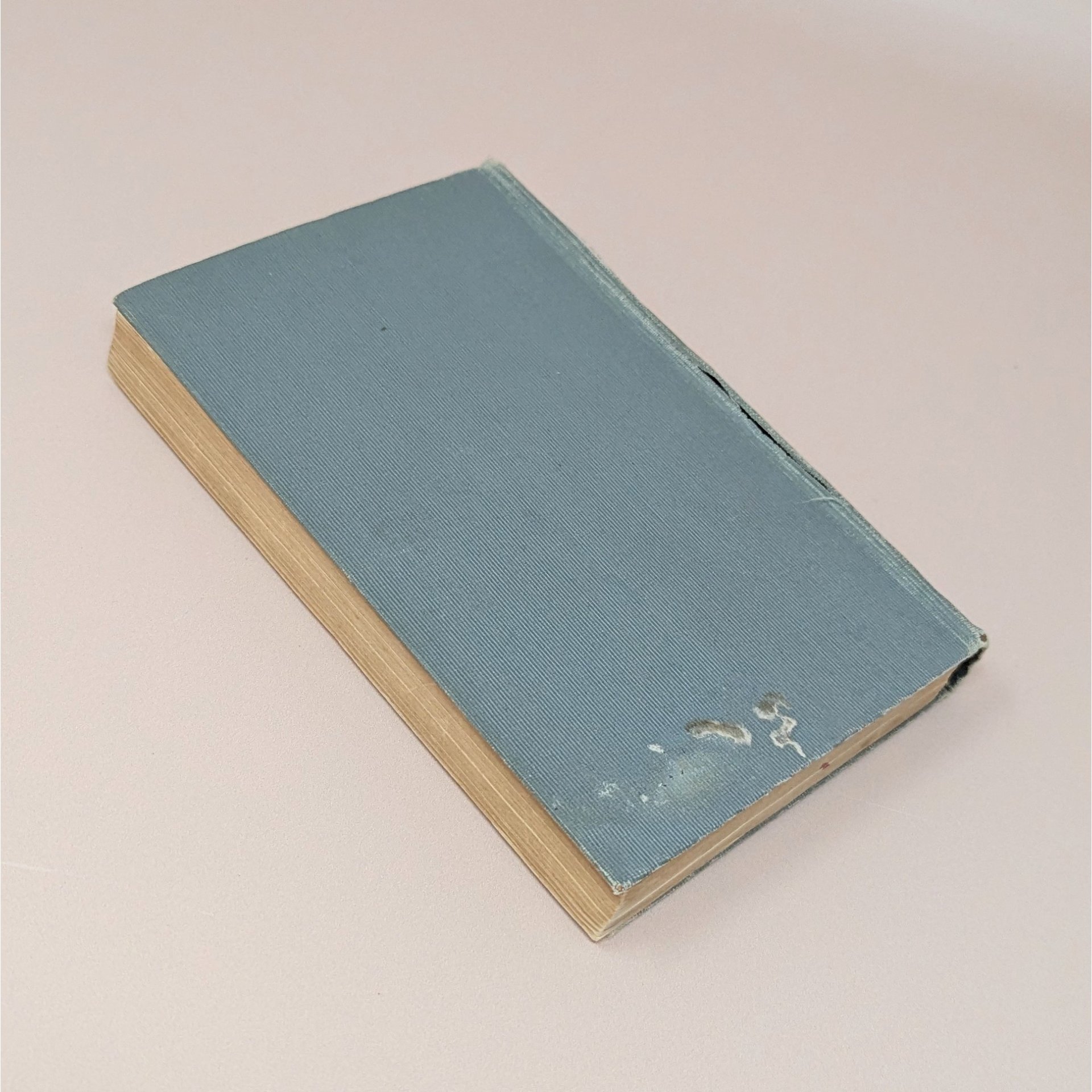 1904 The Life of Robert Browning Hardcover – Edward Dowden – Antique Poetry Biography