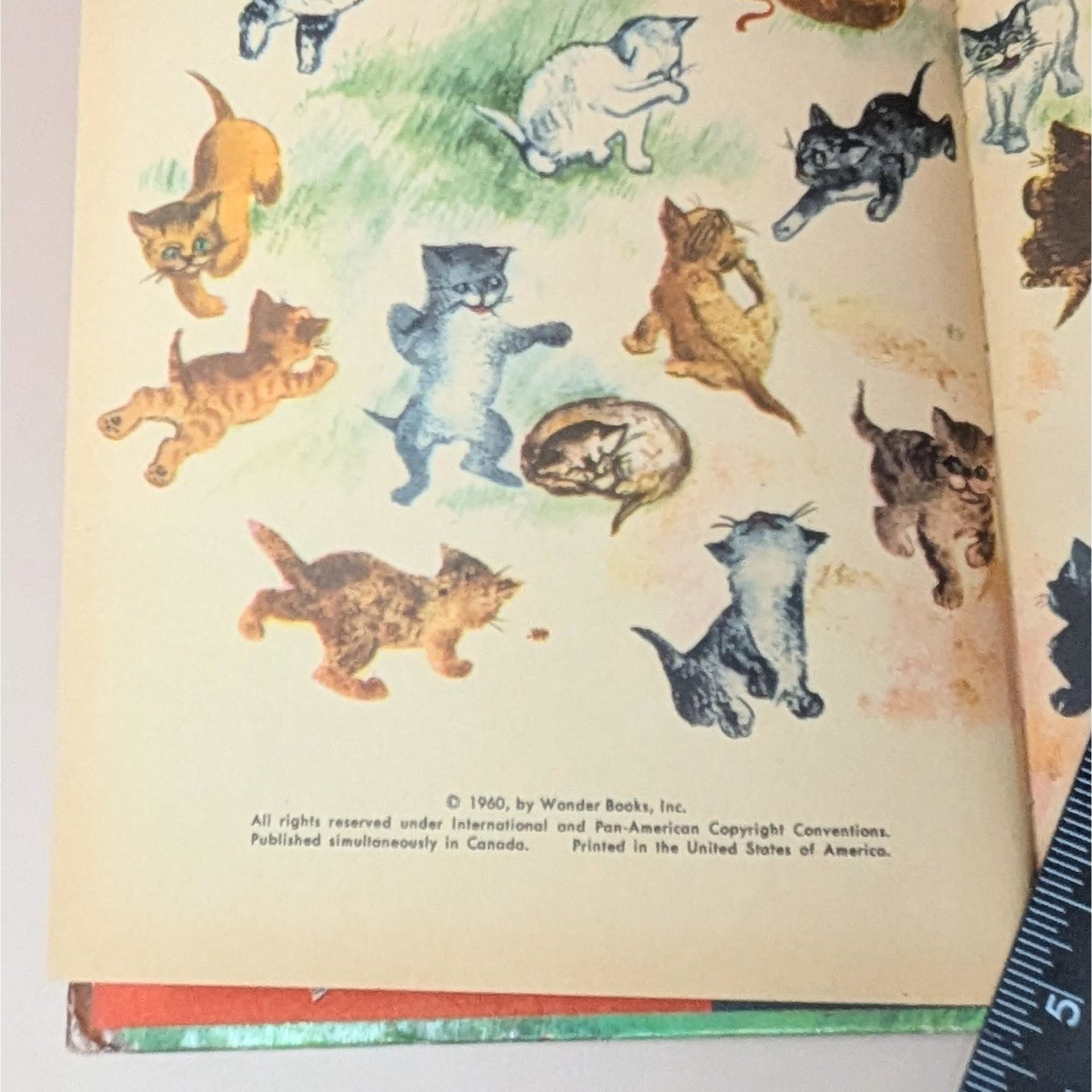 1960 My First Book of Riddles by Janet and Alex DAmato