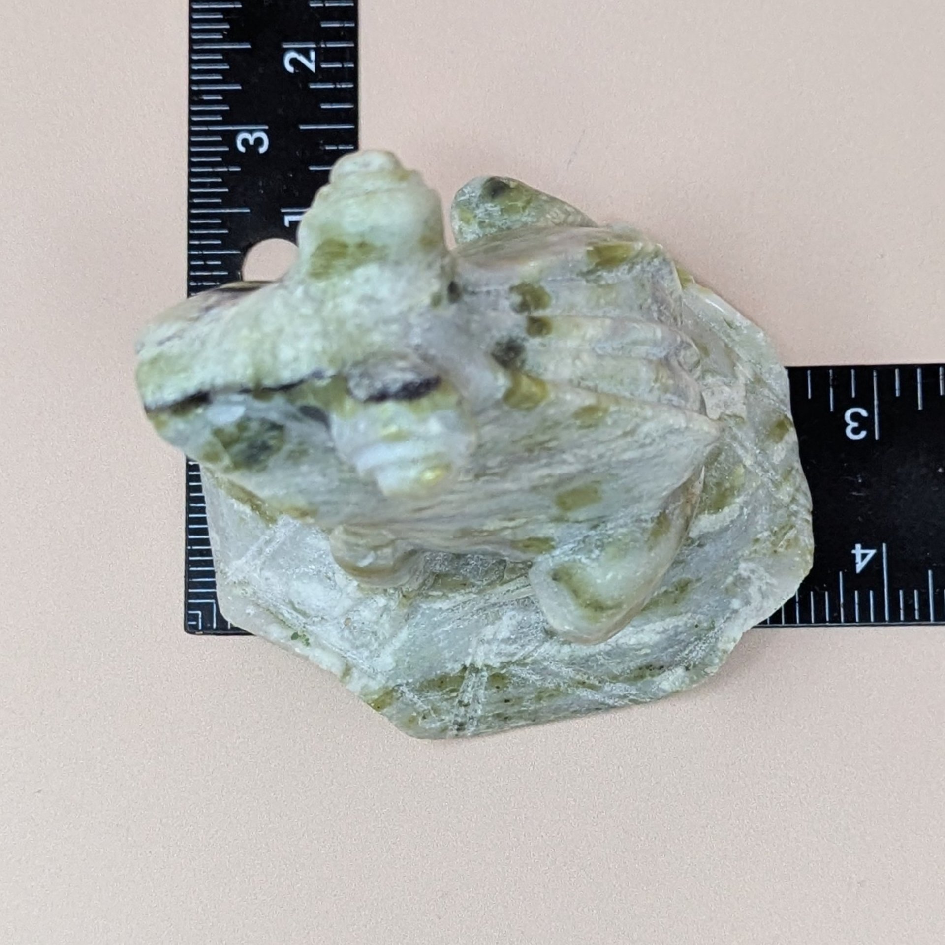 Nephrite Jade Frog – Vintage Chinese Hand Carved Stone – Artisan Figurine