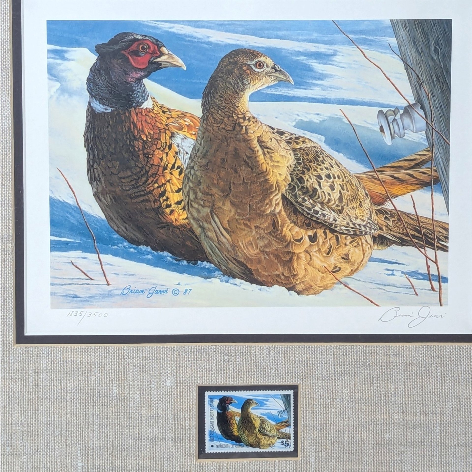 1987 Minnesota Pheasant Habitat Stamp Print by Brian Jarvi