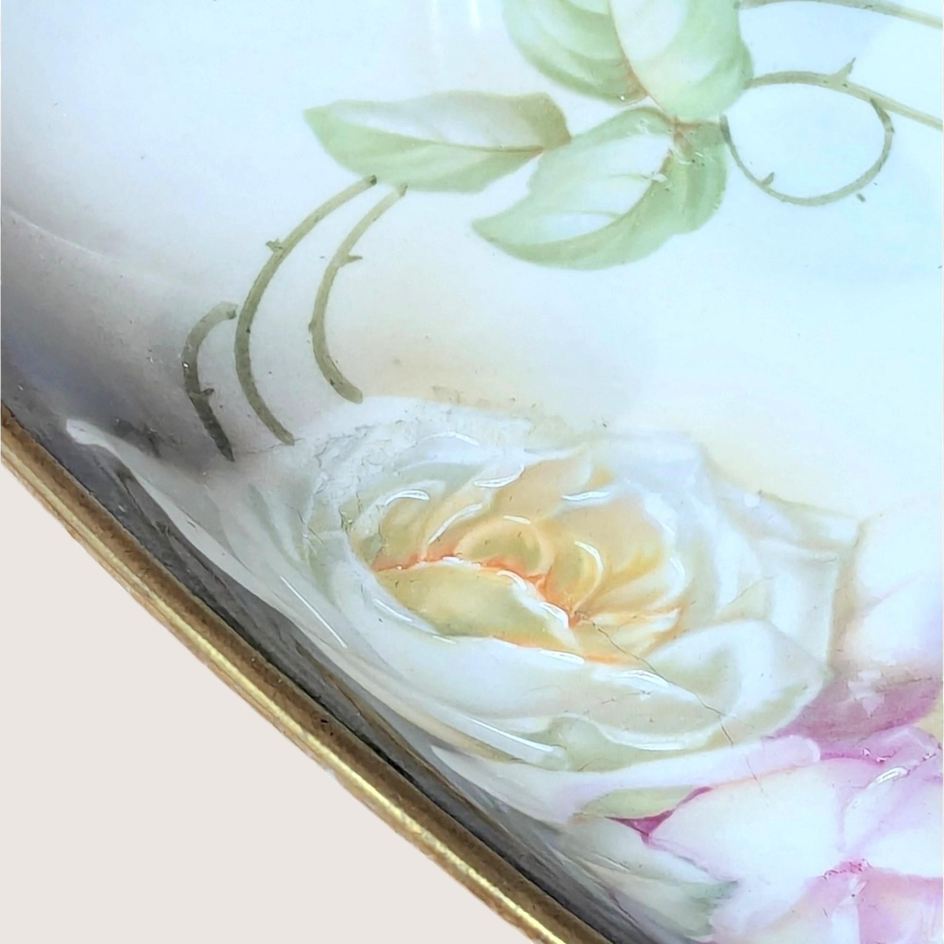 1920s Suhl Germany Floral Porcelain Celery Tray
