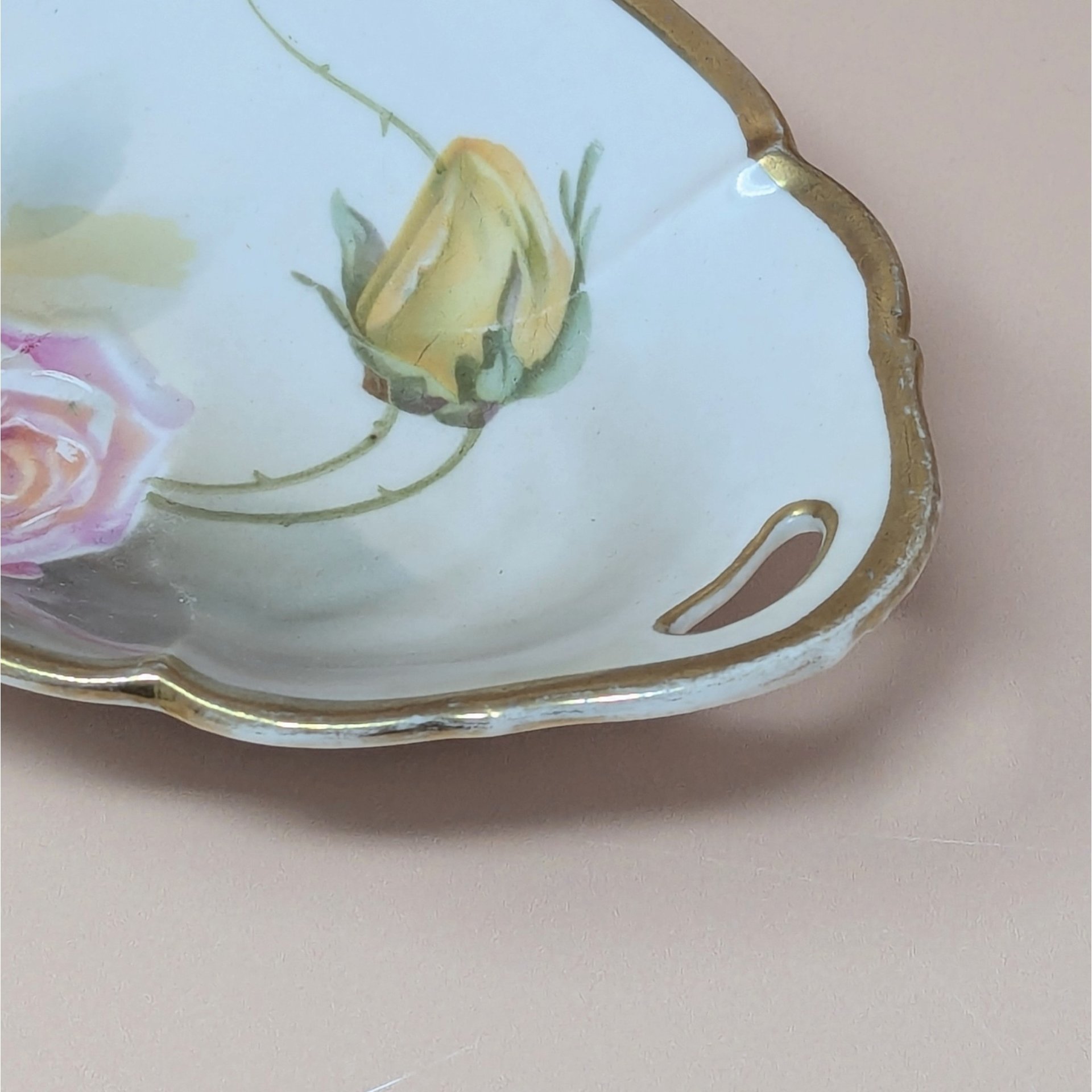1920s Suhl Germany Floral Porcelain Celery Tray
