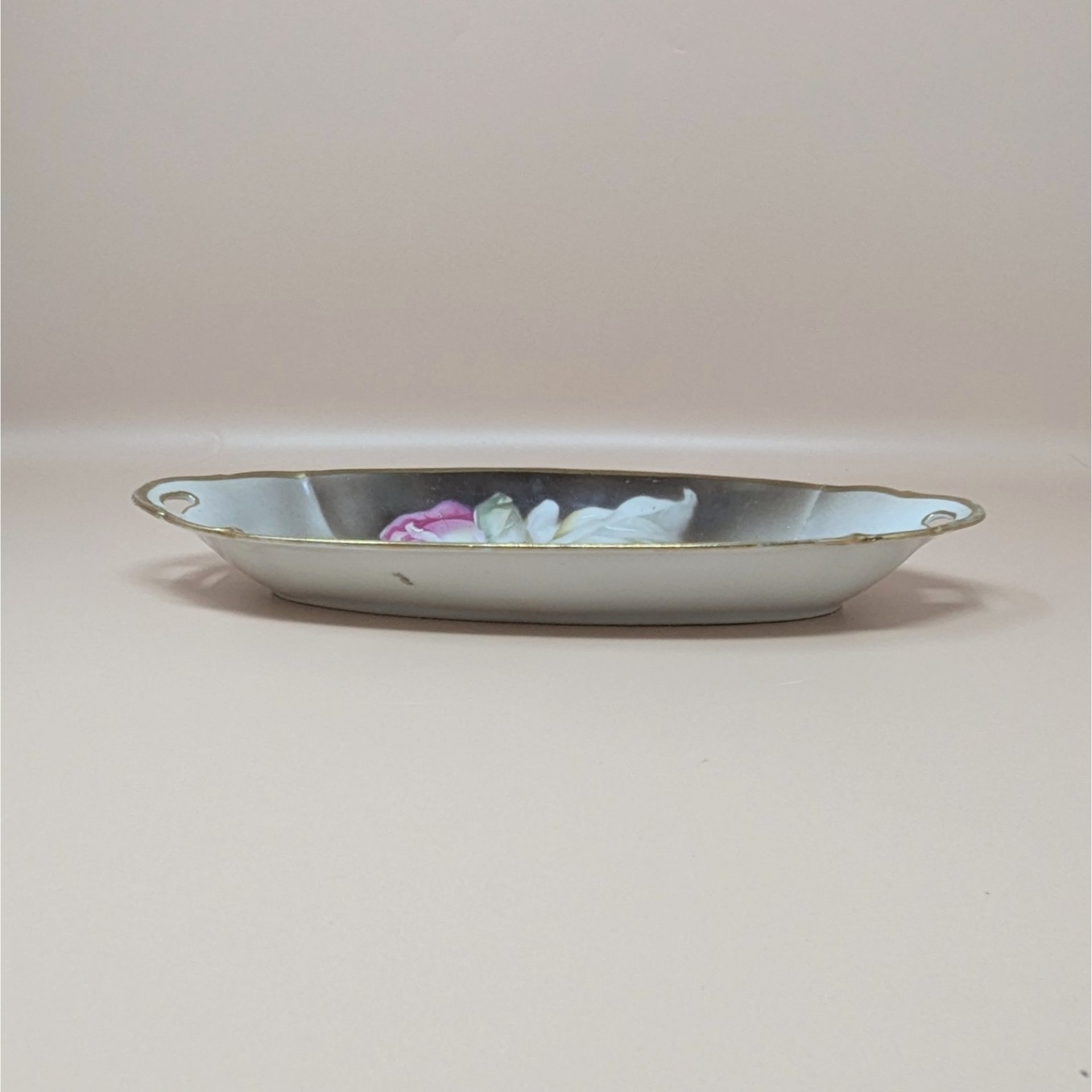 1920s Suhl Germany Floral Porcelain Celery Tray