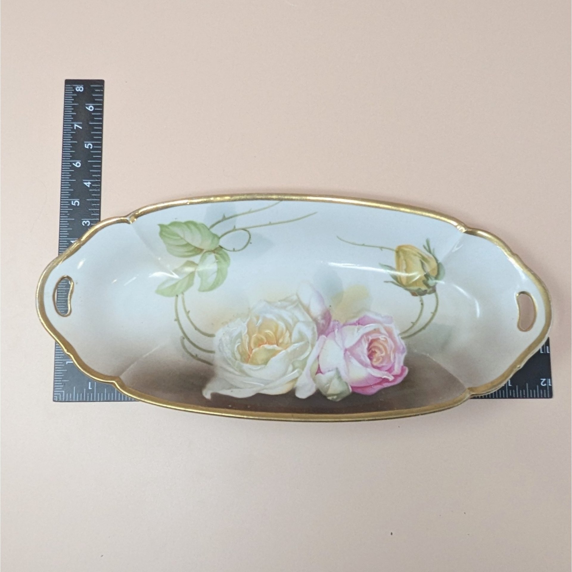 1920s Suhl Germany Floral Porcelain Celery Tray