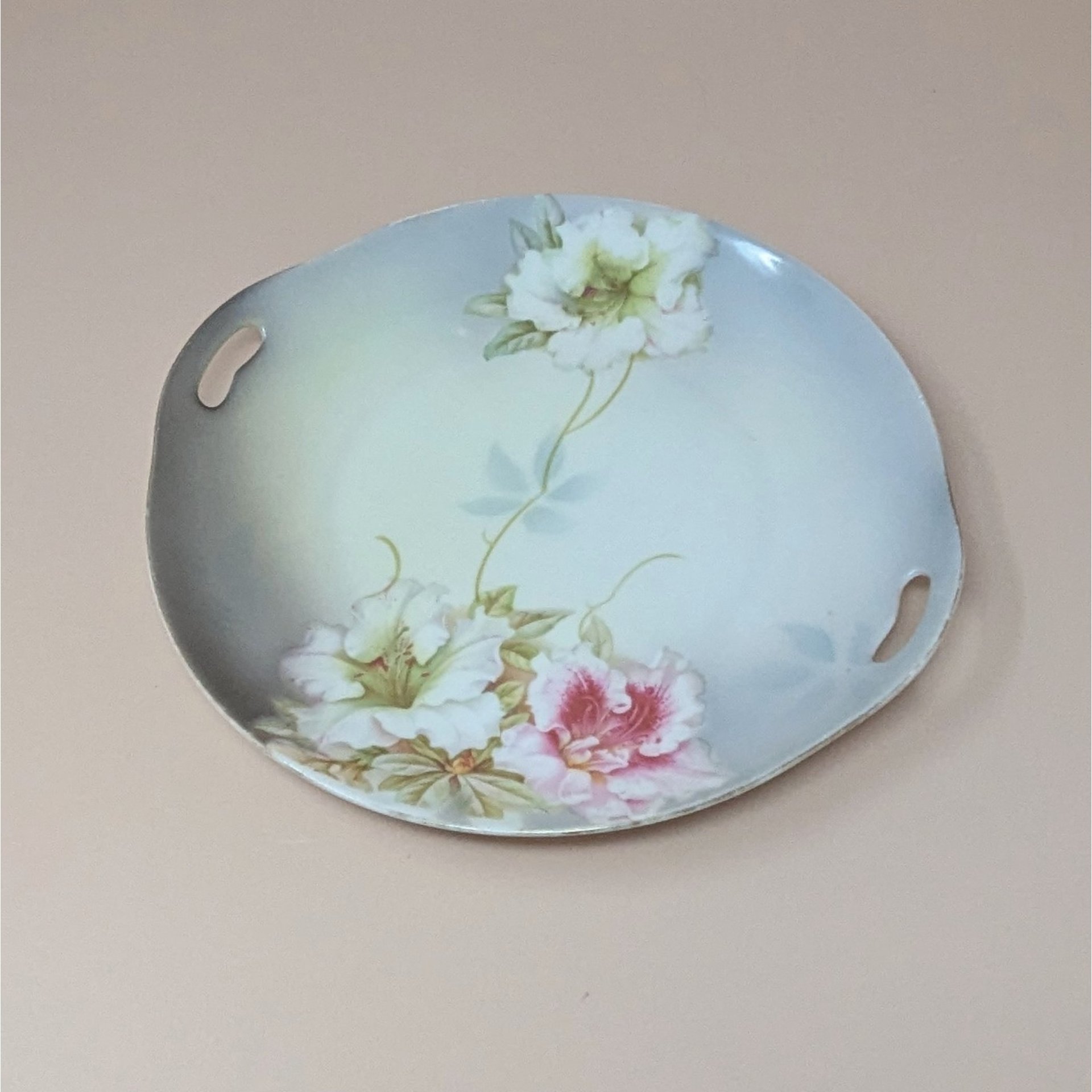 1930s PV Vessra Germany Hand Painted Floral Plate