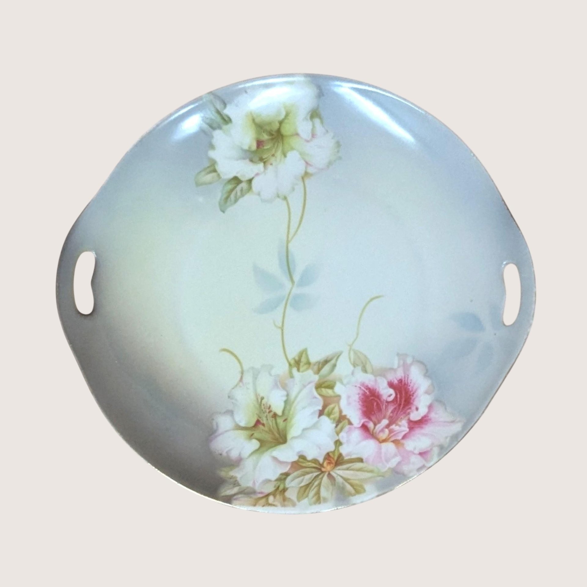 1930s PV Vessra Germany Hand Painted Floral Plate