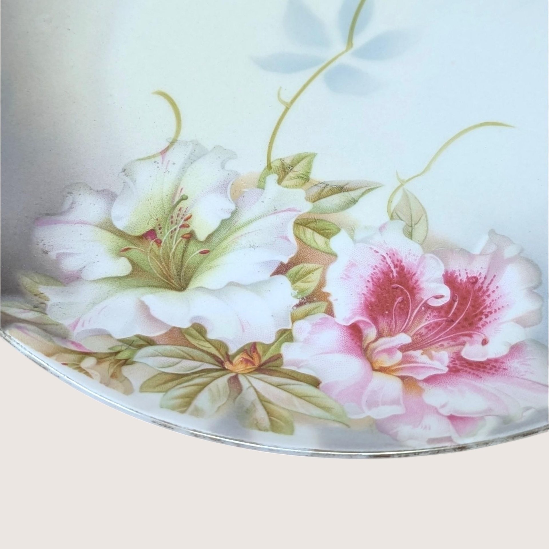 1930s PV Vessra Germany Hand Painted Floral Plate