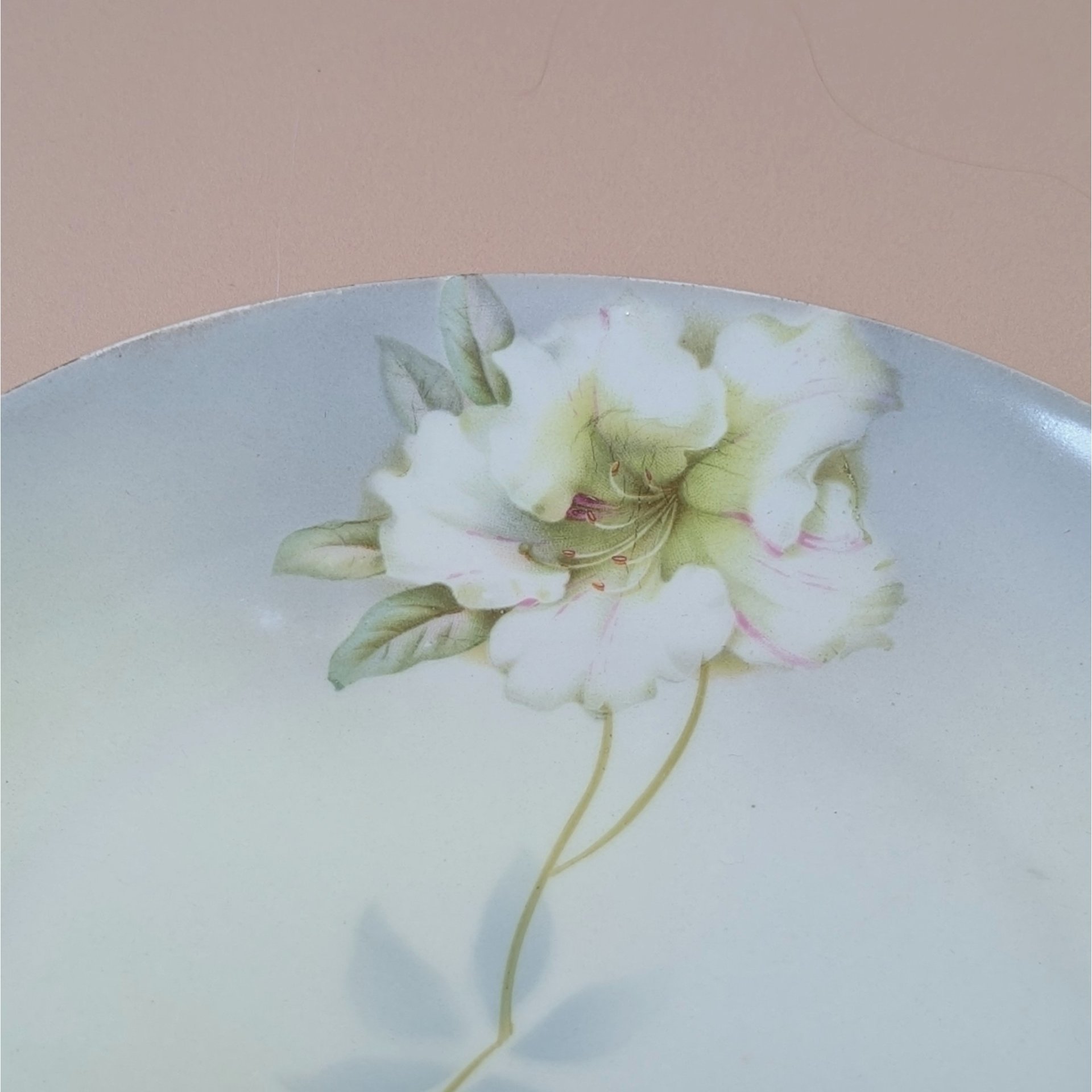 1930s PV Vessra Germany Hand Painted Floral Plate