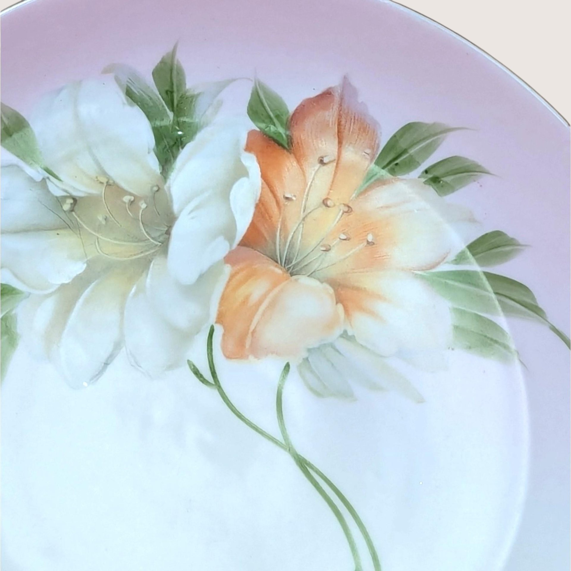 1920s Z.S. & C. Bavaria Floral Porcelain Handled Plate