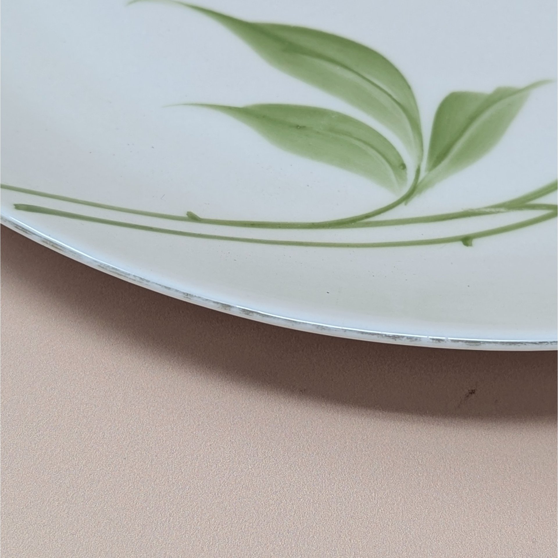 1920s Z.S. & C. Bavaria Floral Porcelain Handled Plate