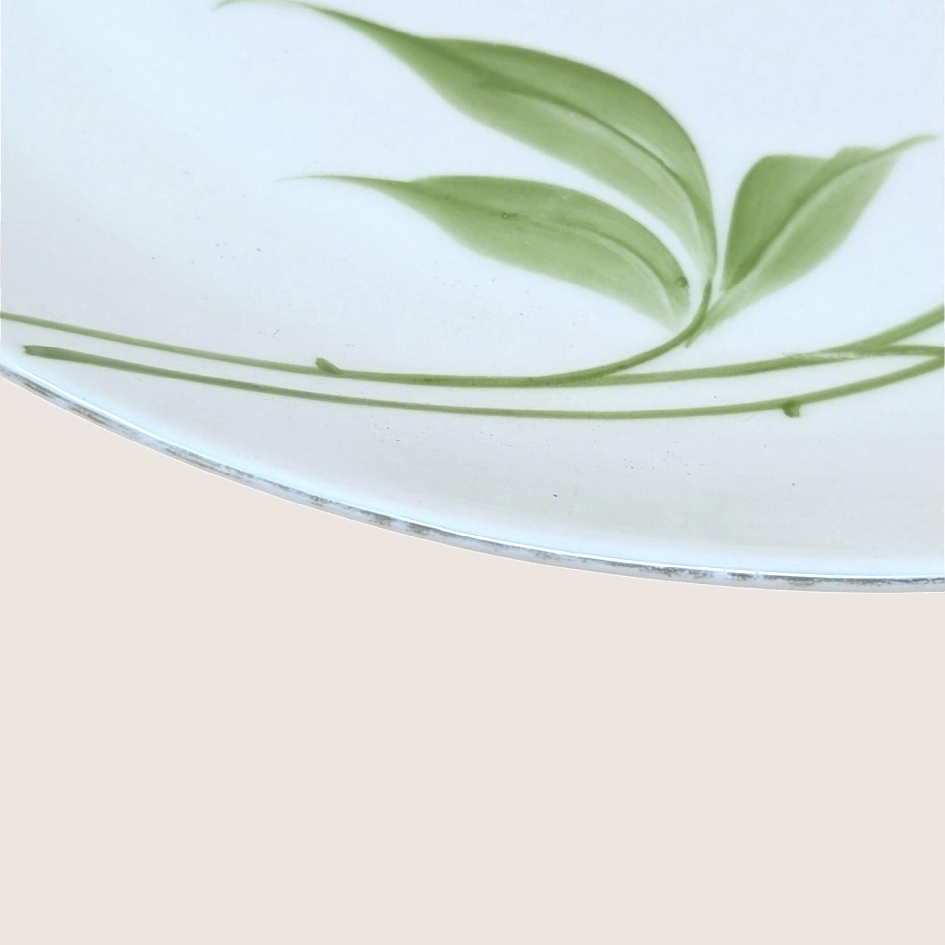1920s Z.S. & C. Bavaria Floral Porcelain Handled Plate