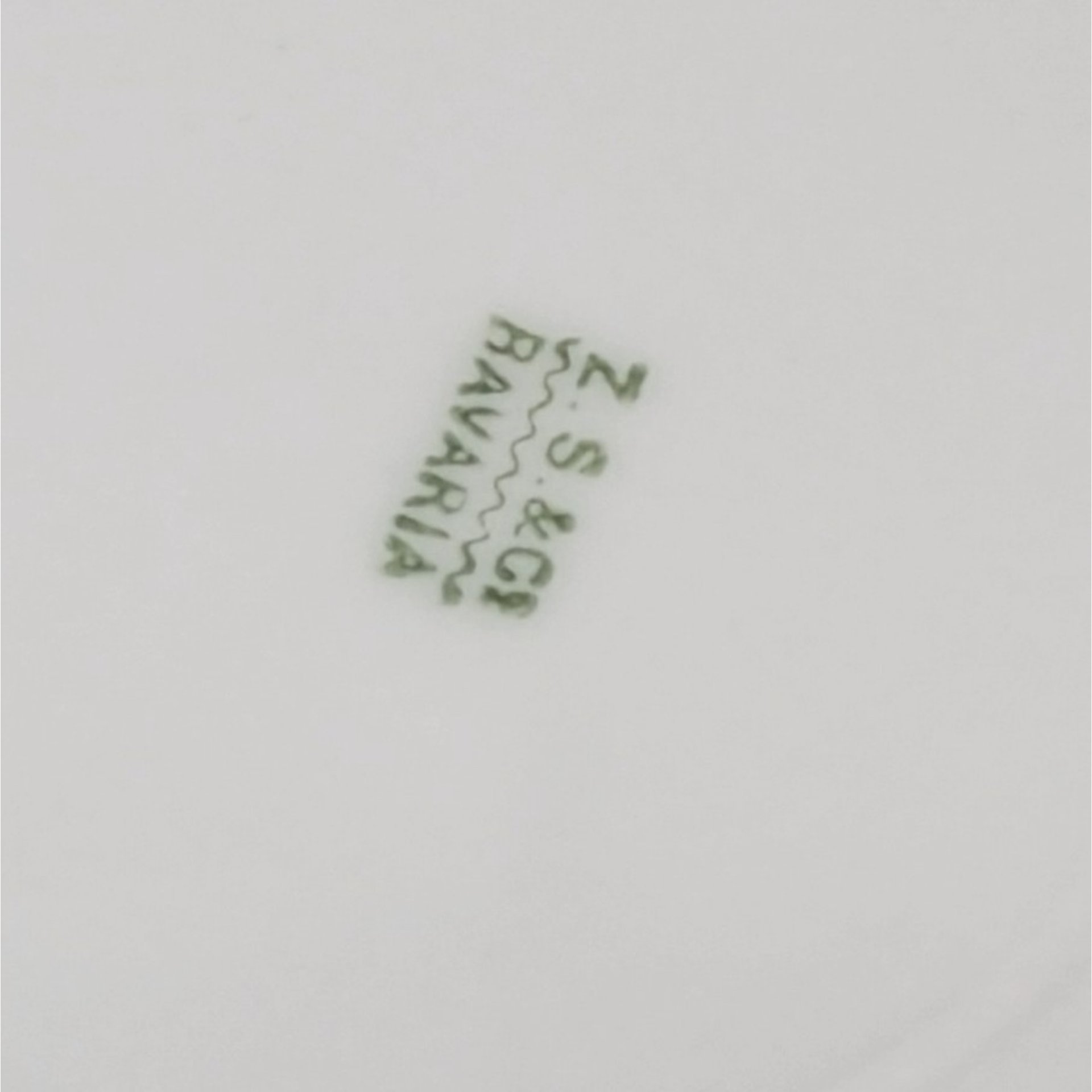 1920s Z.S. & C. Bavaria Floral Porcelain Handled Plate