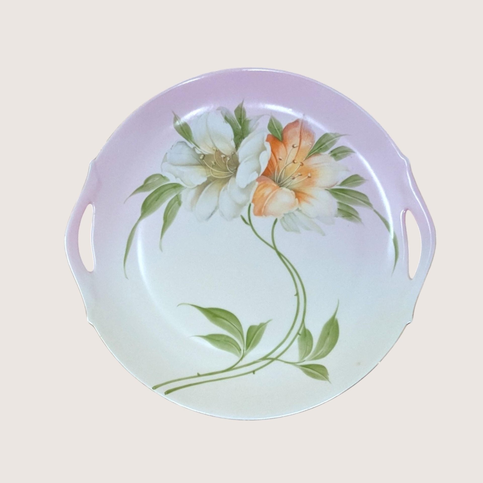 1920s Z.S. & C. Bavaria Floral Porcelain Handled Plate