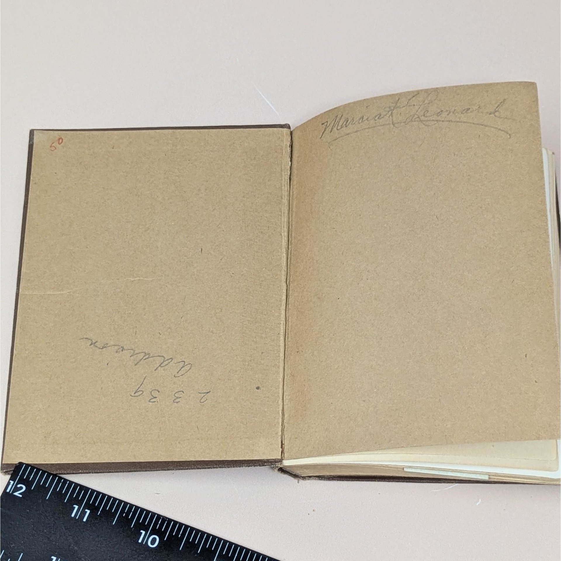 1918 Crown of Wild Olive and Queen of the Air by John Ruskin
