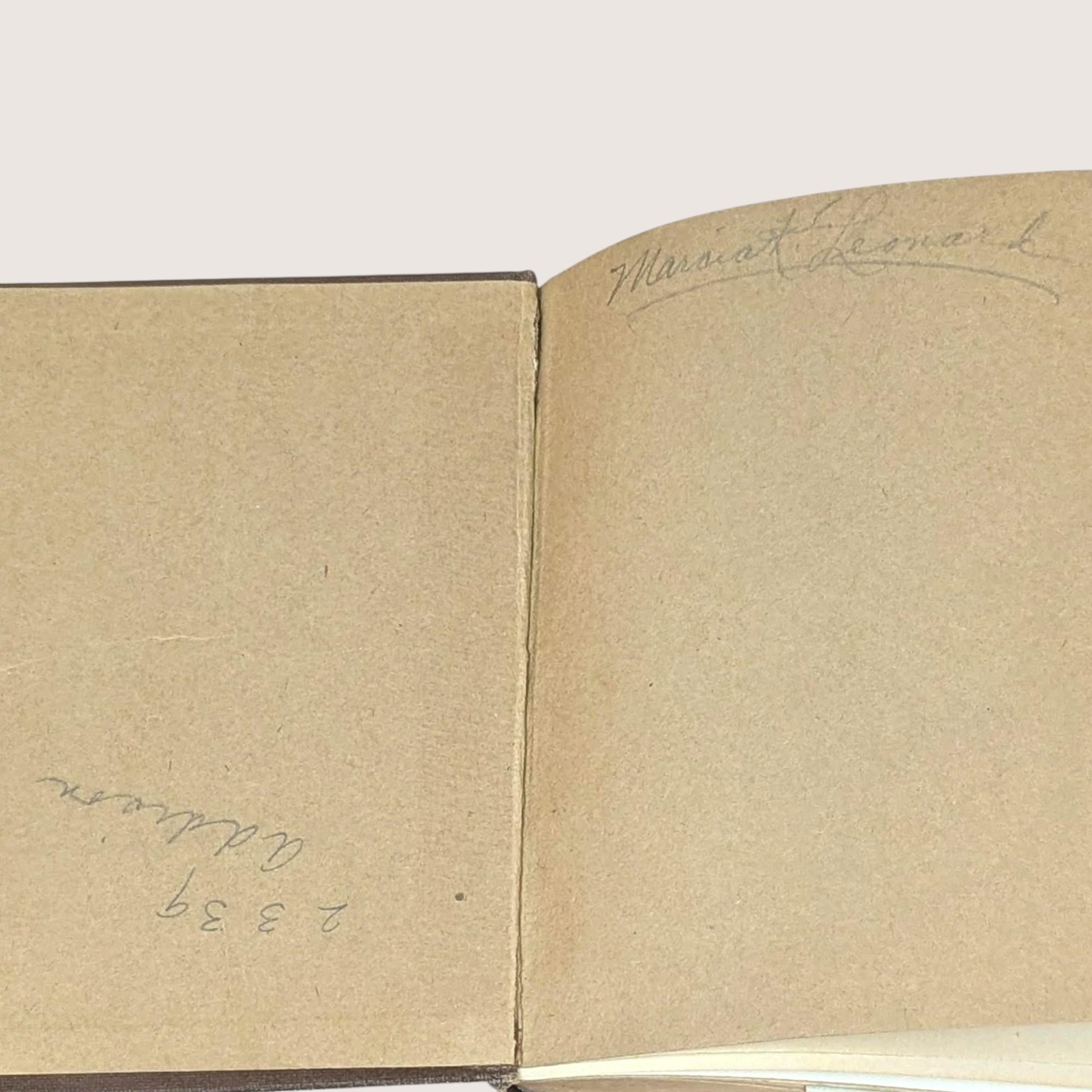 1918 Crown of Wild Olive and Queen of the Air by John Ruskin