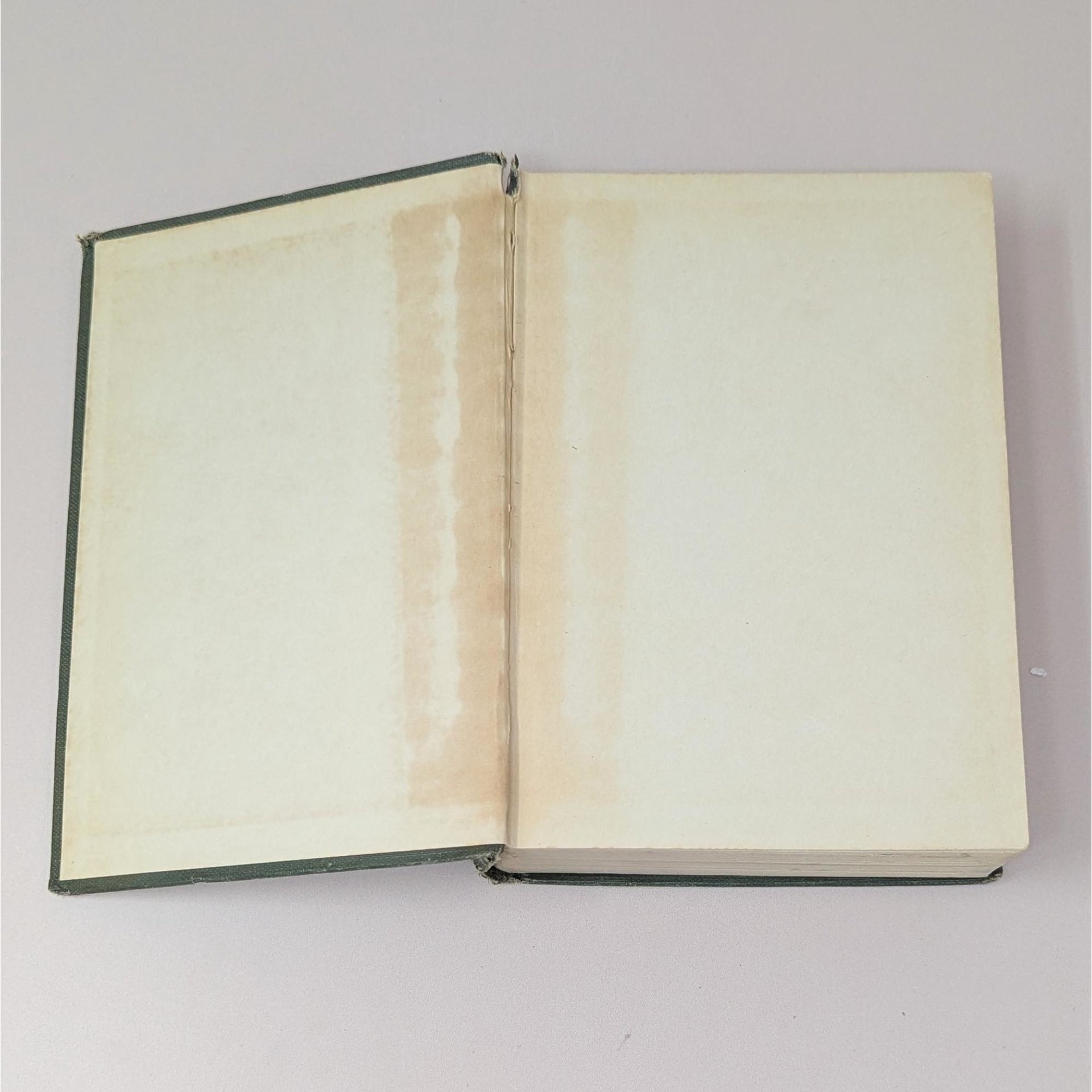 1922 Puddnhead Wilson by Mark Twain