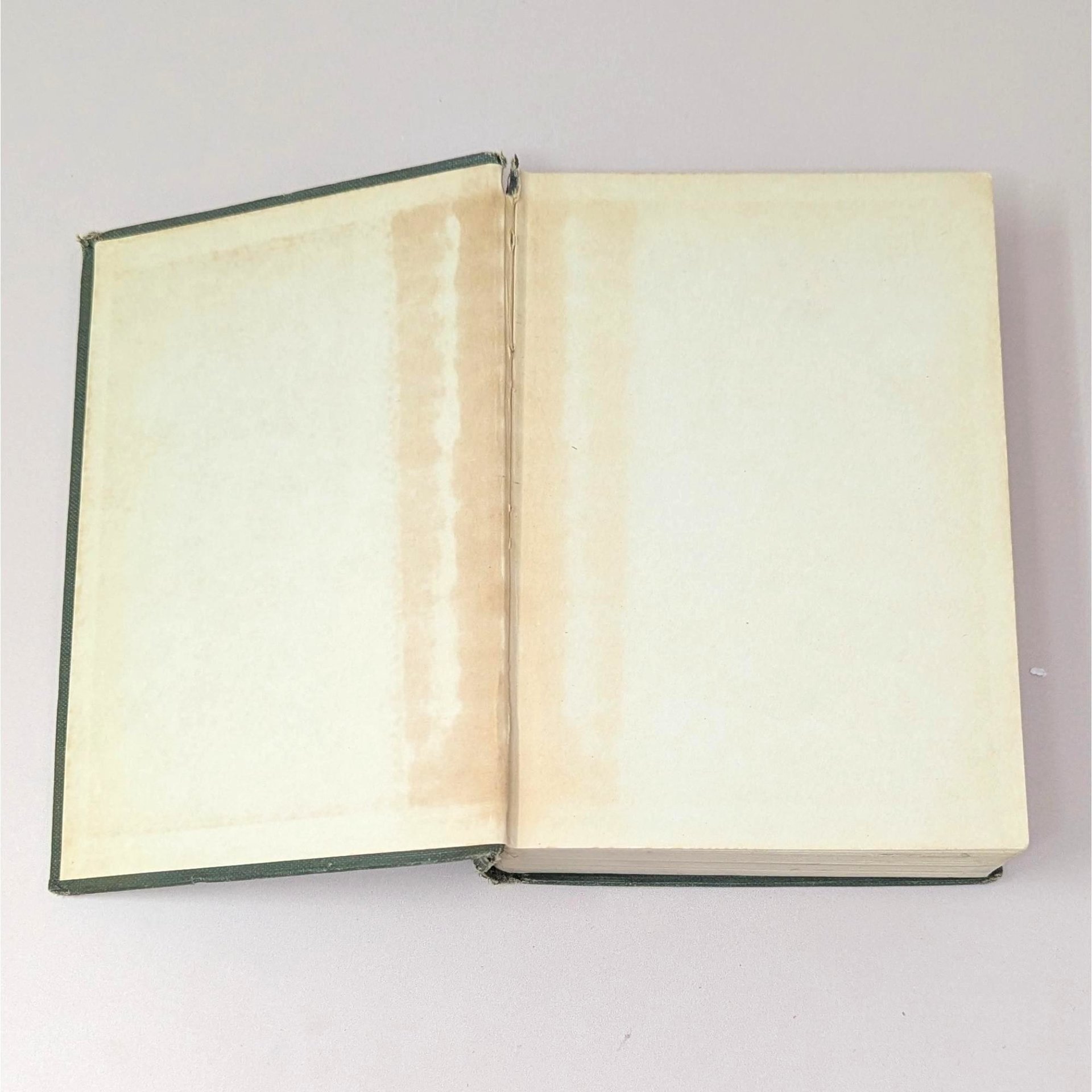1922 Puddnhead Wilson by Mark Twain